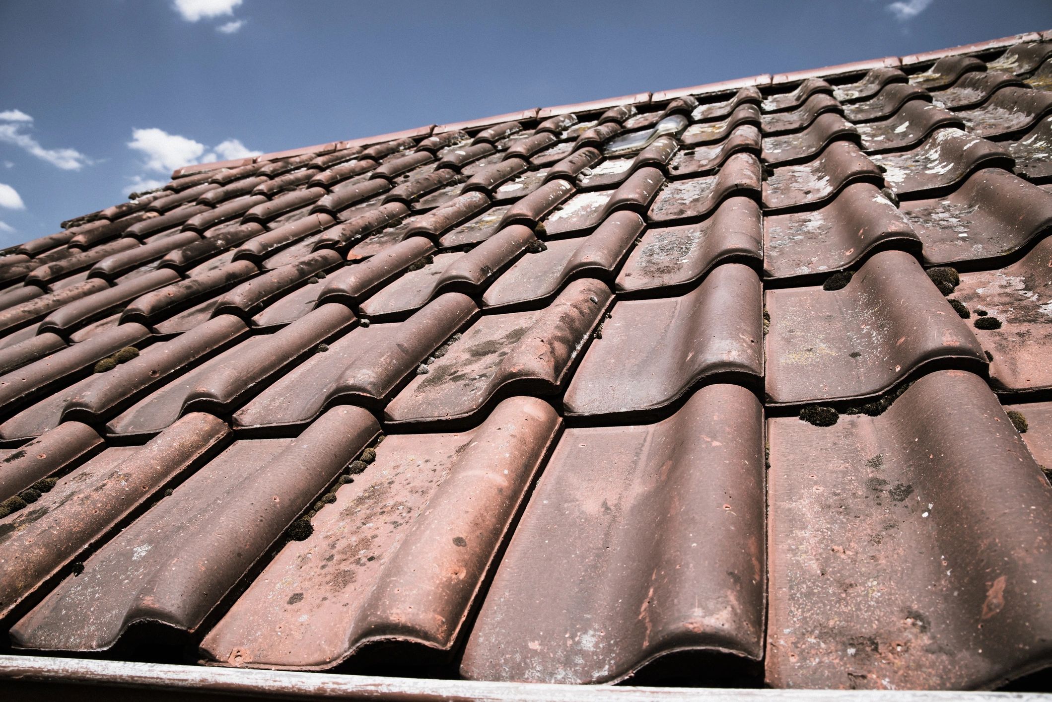 Roof tile surface after soft wash roof cleaning
