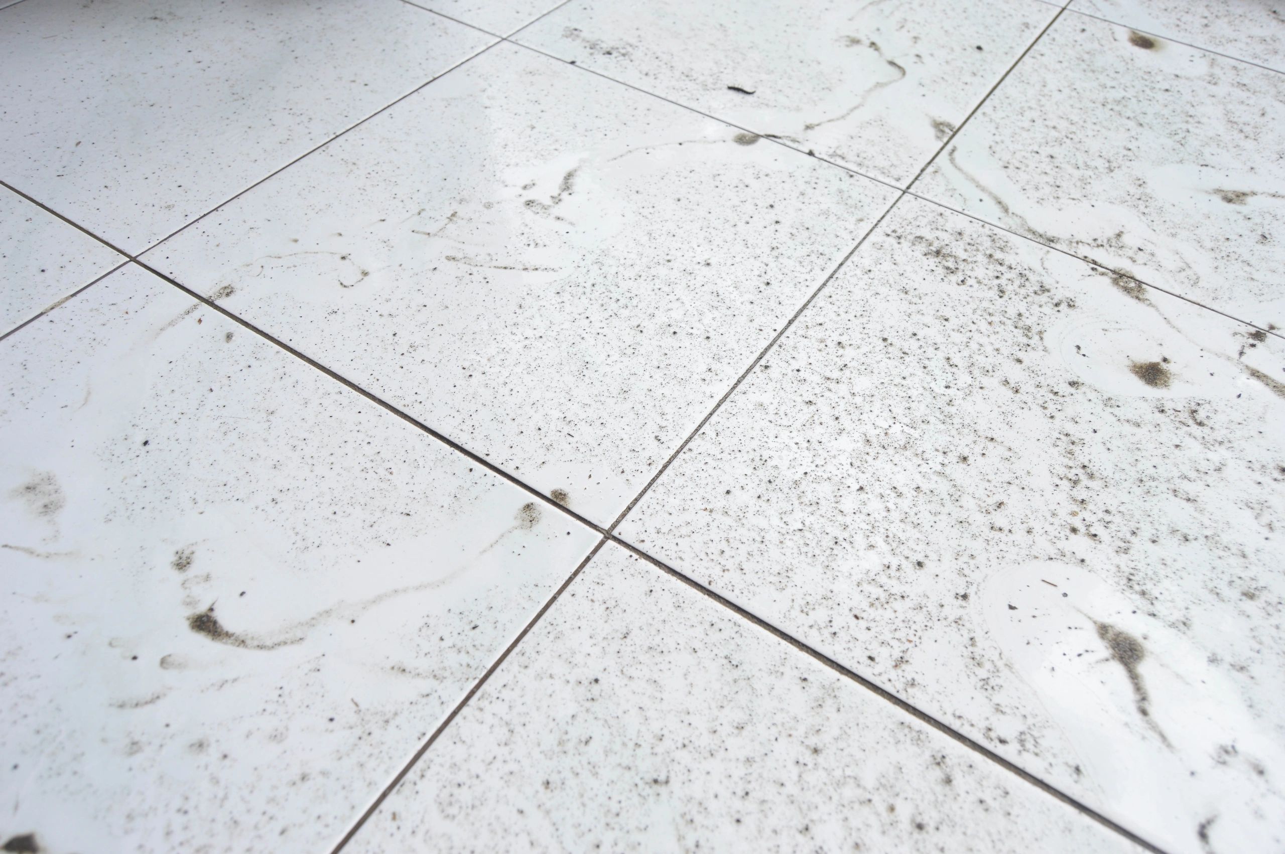 Stone deck surface showing buildup before limestone cleaning