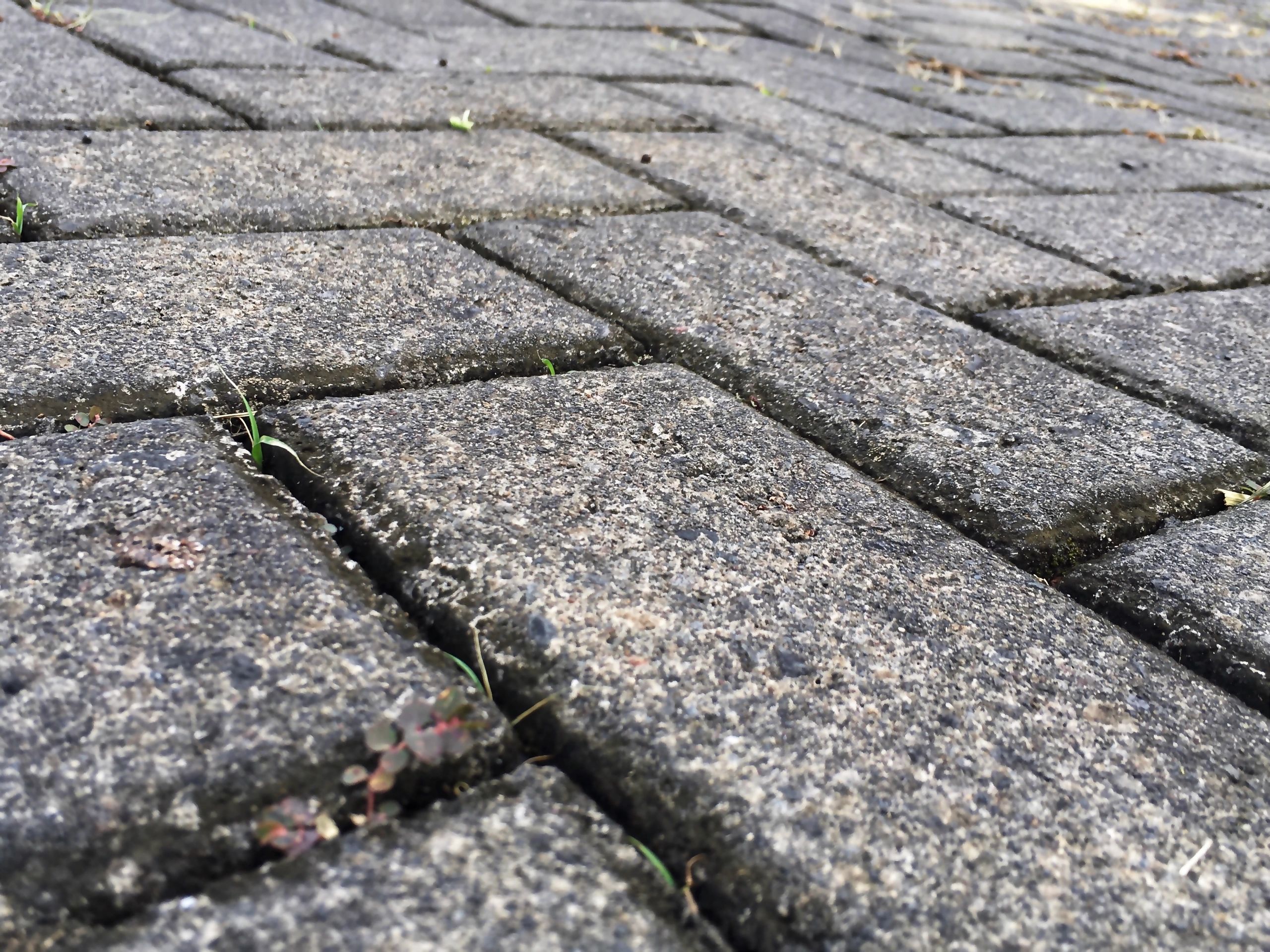 Clean paved patio surface after washing
